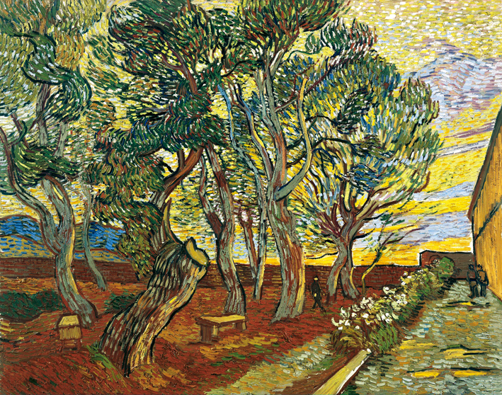  文森特·威廉·梵高  Vincent Willen Van Gogh —— 圣保罗医院的公园 (4)